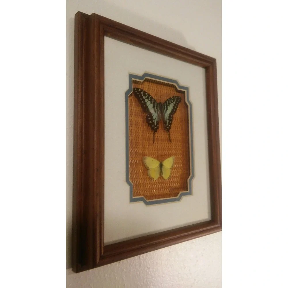 Butterfly Mounts - in 9.5 x 11.5